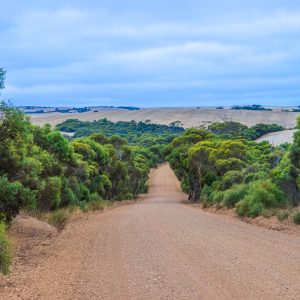 Country Horizon